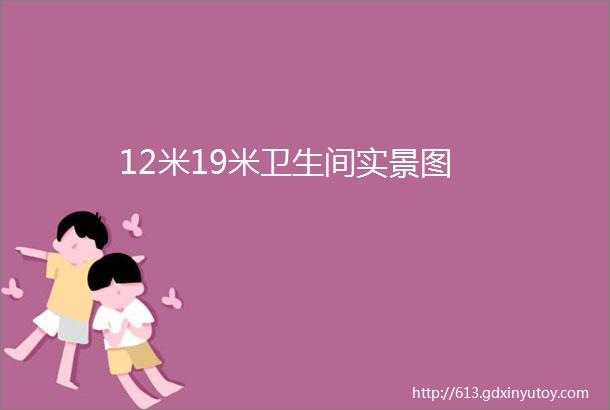 12米19米卫生间实景图