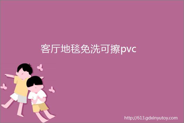 客厅地毯免洗可擦pvc