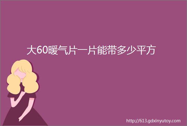 大60暖气片一片能带多少平方