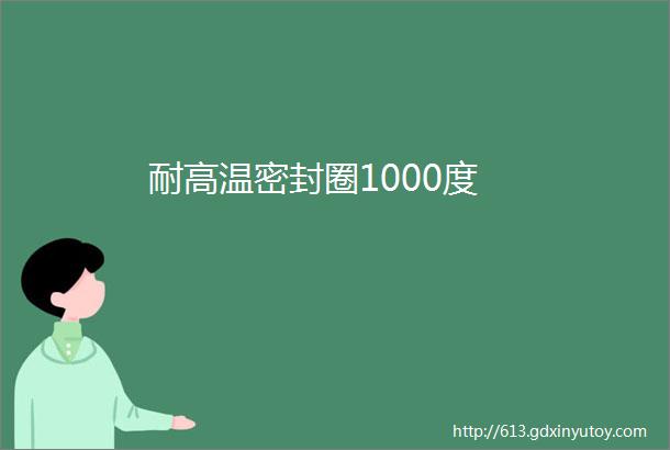 耐高温密封圈1000度