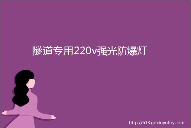 隧道专用220v强光防爆灯