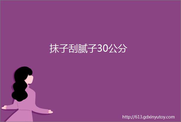 抹子刮腻子30公分