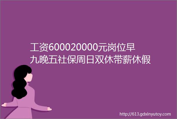 工资600020000元岗位早九晚五社保周日双休带薪休假