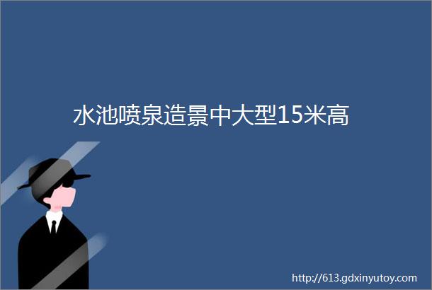 水池喷泉造景中大型15米高