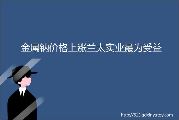 金属钠价格上涨兰太实业最为受益