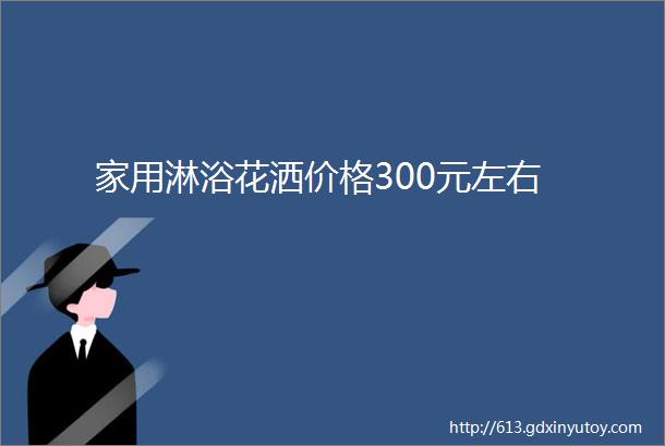 家用淋浴花洒价格300元左右