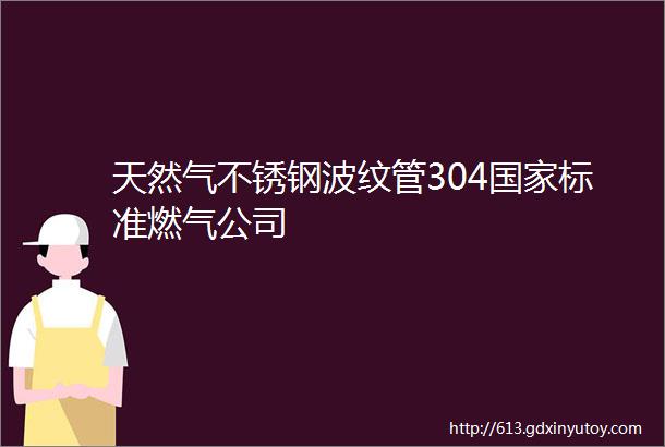 天然气不锈钢波纹管304国家标准燃气公司