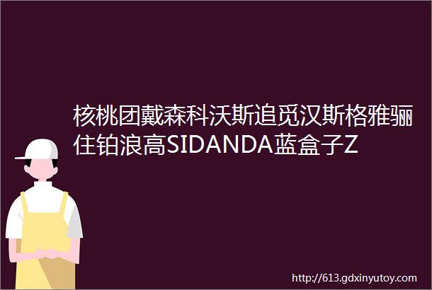 核桃团戴森科沃斯追觅汉斯格雅骊住铂浪高SIDANDA蓝盒子ZUNY心海伽蓝美宅周末