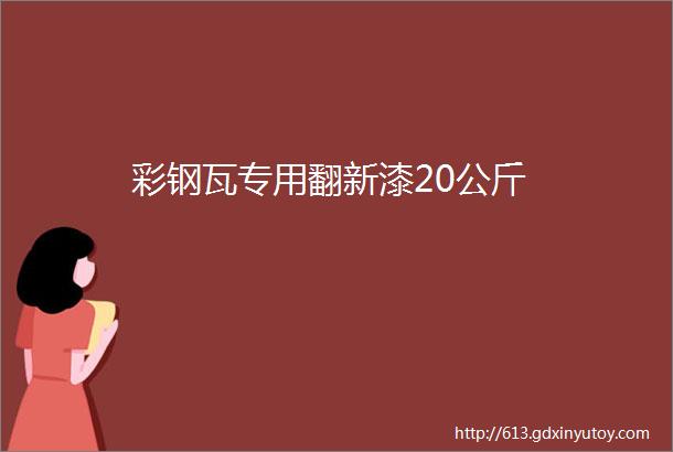 彩钢瓦专用翻新漆20公斤