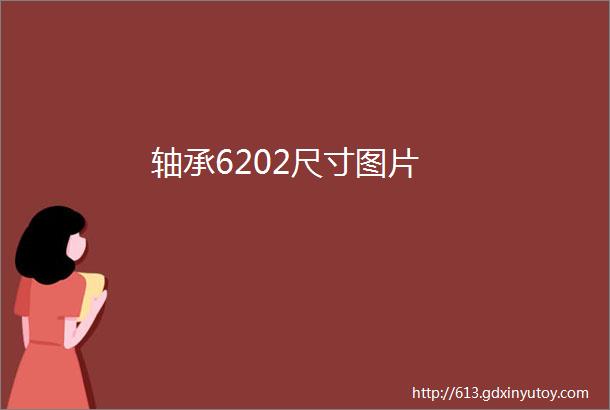 轴承6202尺寸图片