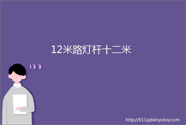 12米路灯杆十二米