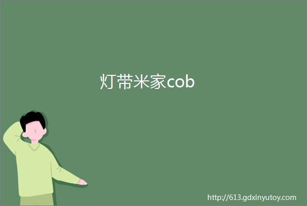 灯带米家cob