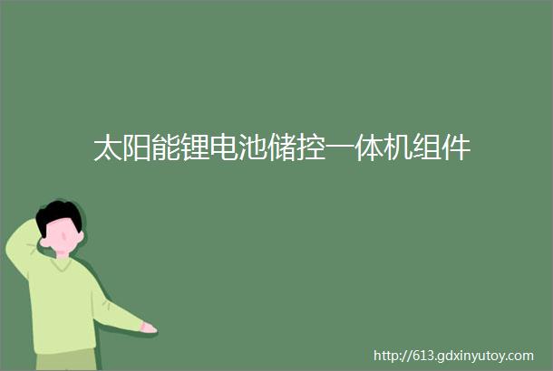 太阳能锂电池储控一体机组件