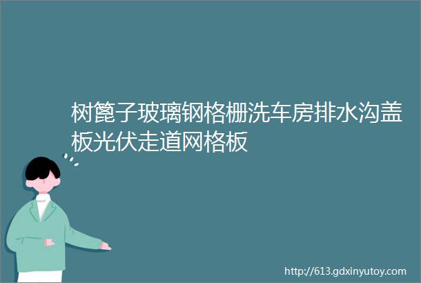 树篦子玻璃钢格栅洗车房排水沟盖板光伏走道网格板