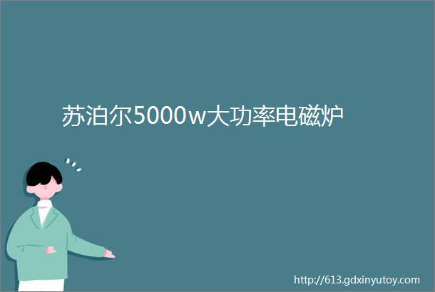 苏泊尔5000w大功率电磁炉