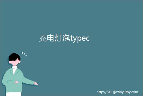 充电灯泡typec